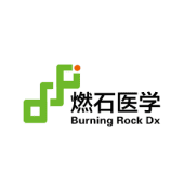 Burning Rock Biotech (BNR) +28.7%